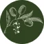 Caves Road Olives logo