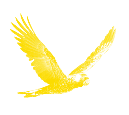 Cockatoo Creek Farm logo