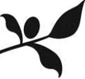 Kleinbergskloof Estate logo