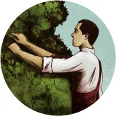 Leafyridge Olives logo