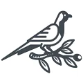 Namaqua Olives & Olive Oil logo