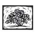 Primo Estate logo