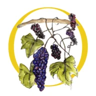 Rosnay Organic Wines logo