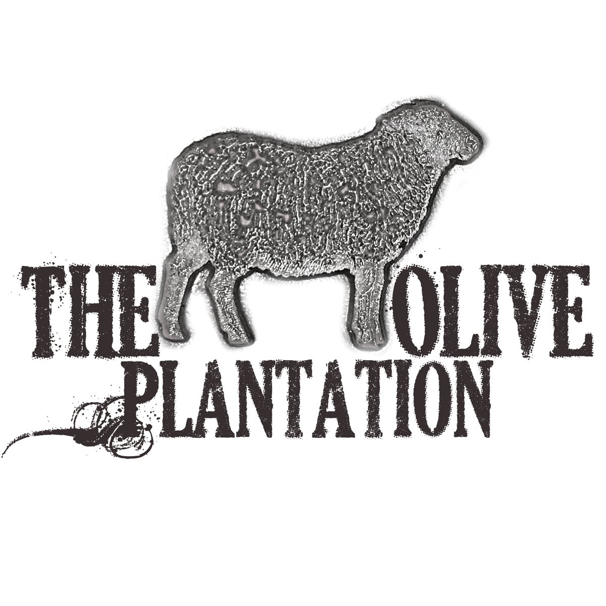 The Olive Plantation logo