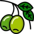 Watercress Creek Olives & Limes logo