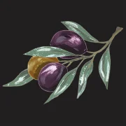 Wattle Hill Olive Grove logo