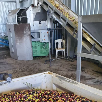 Adelaide Hills Harvest Arbosana