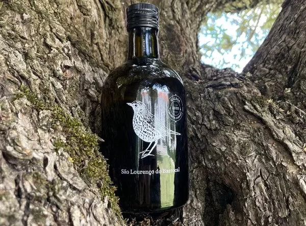 Barrocal Organic Bical & Galega