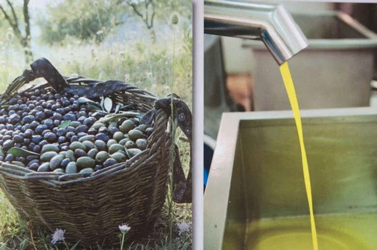 Duck Creek Extra Virgin Olive Oil