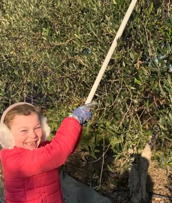 Four Palms Farm Extra Virgin Olive Oil