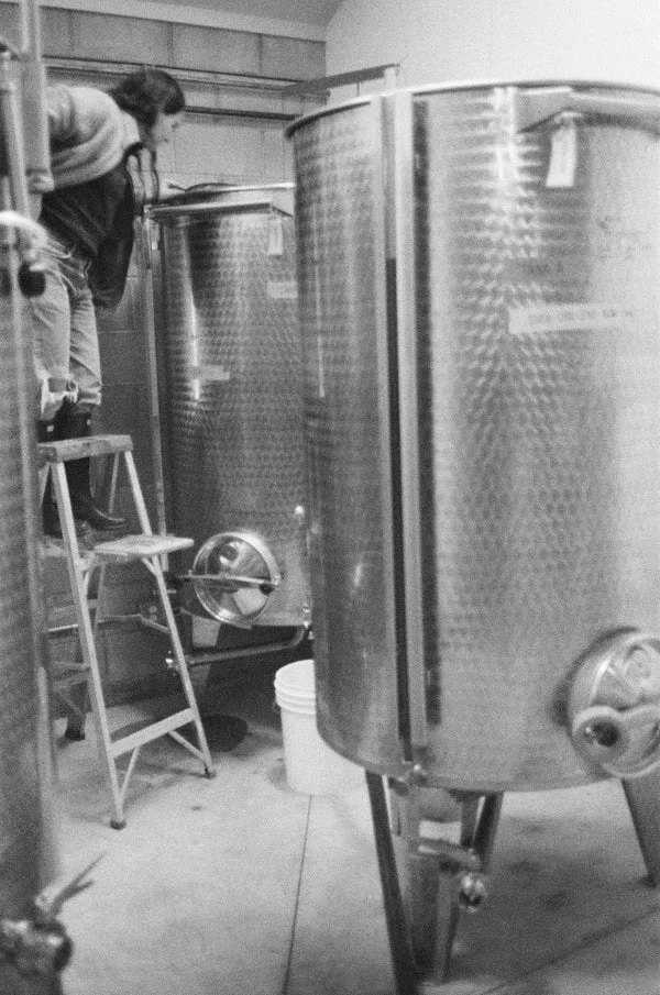 Inez Organic Ultra Premium Blend