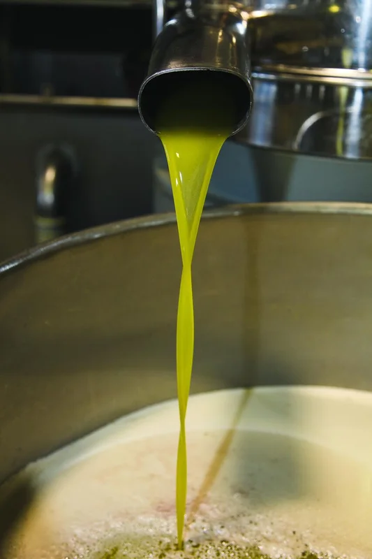 Olio Bello Kalamata Extra Virgin Olive Oil