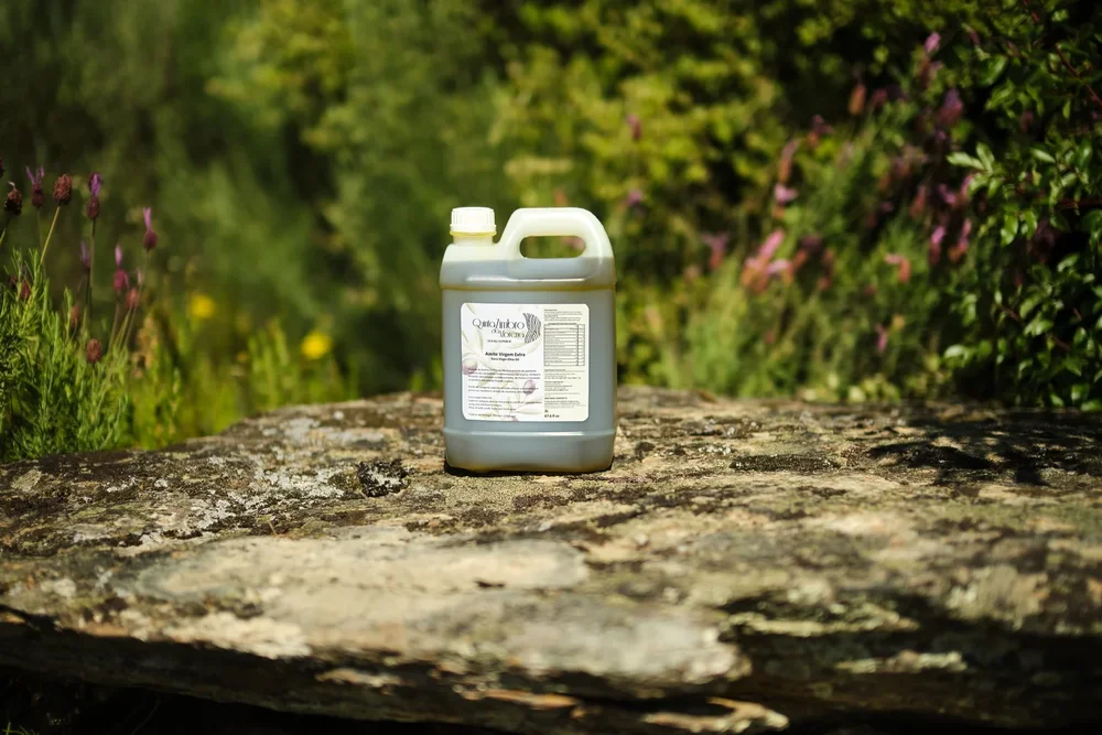 Quinta Zimbro da Morena Azeite Virgem Extra