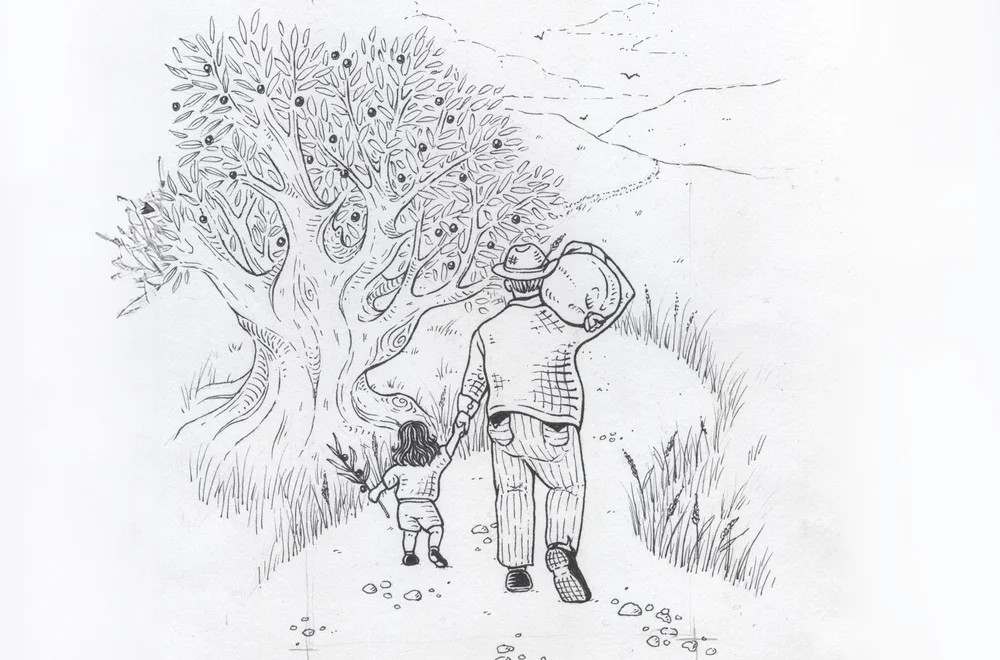 Sallaku Olive Oil Authentic Superior Category