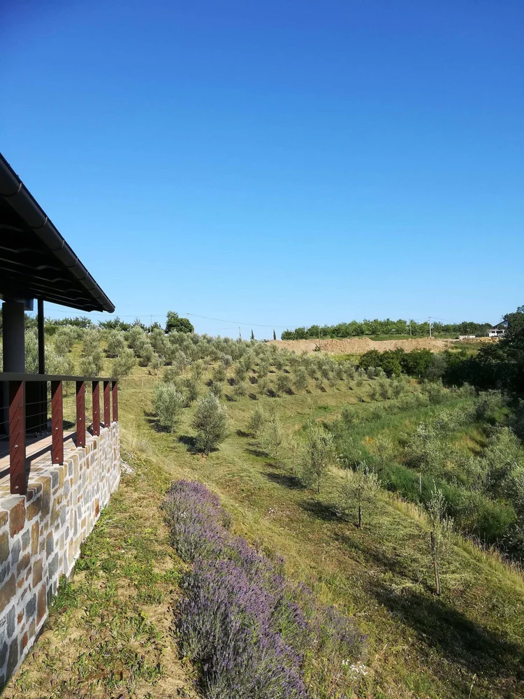 Villa Eva Grand Riserva Extra Virgin Olive Oil