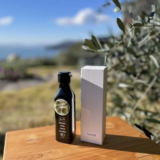 Yamada Olive Garden Lucca Extra Virgin Olive Oil
