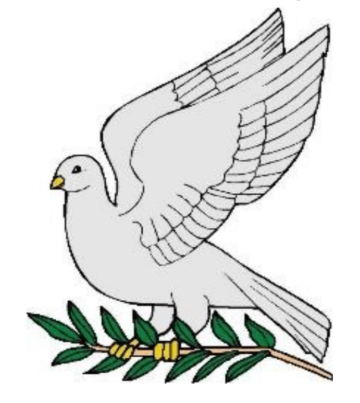 Clackline Valley Olives